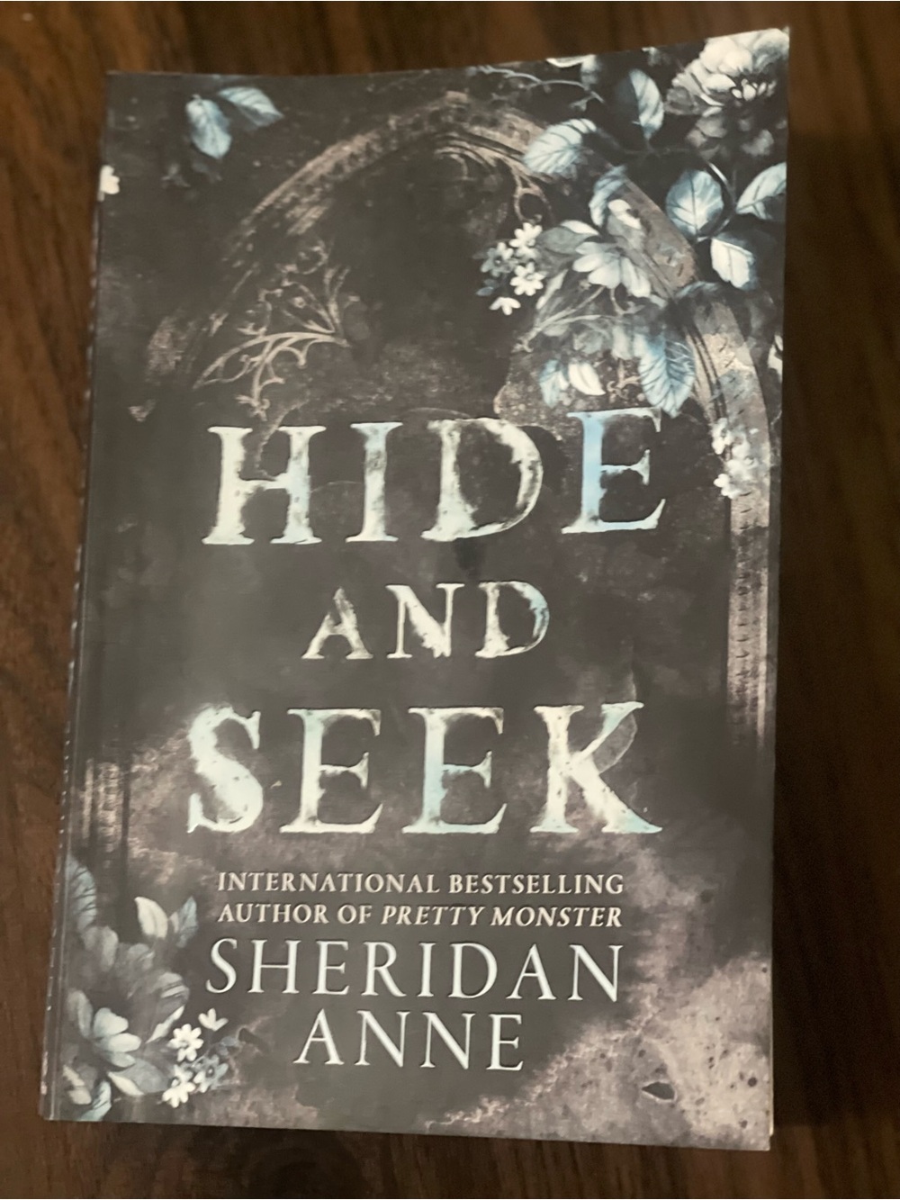 Hide and Seek - Dark Romance- Addicting!